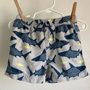 Tea Collection Swim Trunks - 9-12M